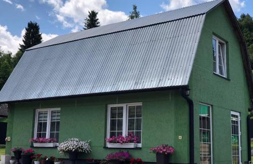 Uzhhorod Apartamento | У Миколи