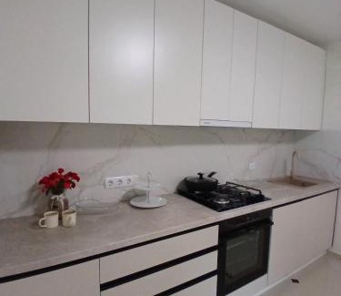 Volovets Apartamento | Файна садиба
