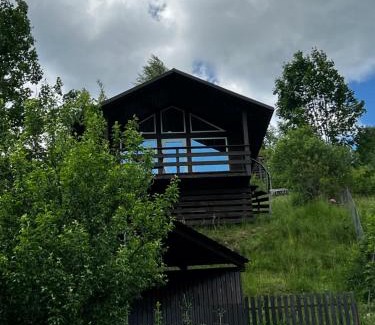Synevyrska Polyana Casa | Файна хата 4