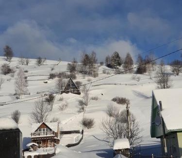 Synevyrska Polyana Casa | "Файна хата"