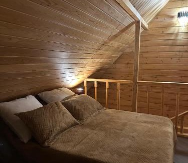 Almaty Chalet De Esquí | Шале в Горах