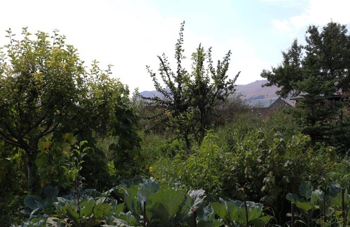 Armenia Casa | Առանձնատուն Սուրբ Հովհաննեսի և Թռչկանի տարածքում