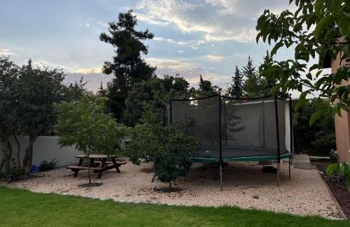 El-Rum Casa | בחצר של יאיר