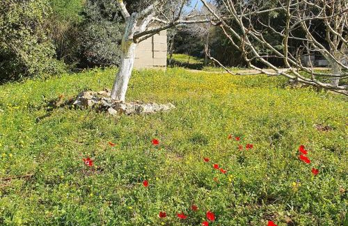 Michmanim Apartamento | הבית ליד הבוסתן