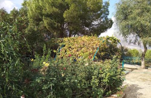 Michmanim Apartamento | הבית ליד הבוסתן