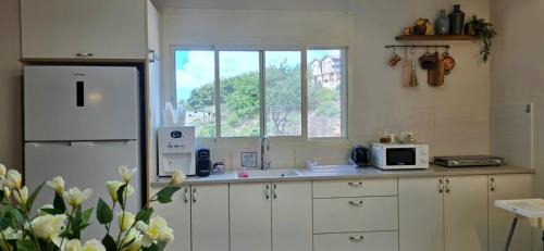 Daliyat al-Karmel Apartamento | וילה דיאן