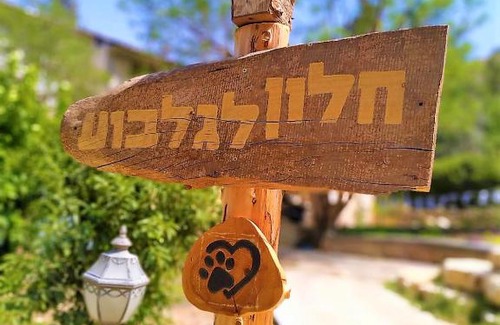 Beit Alfa Apartamento | חלון לגלבוע צימר בוטיק בעמק המעיינות