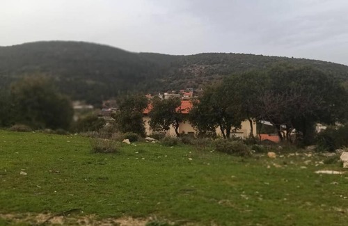 Shefer Apartamento | יחידת אירוח קסומה בקצה היער