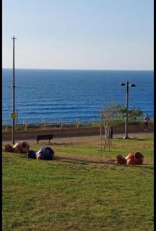 Netanya Apartamento | מלון כרמל/מגדל C