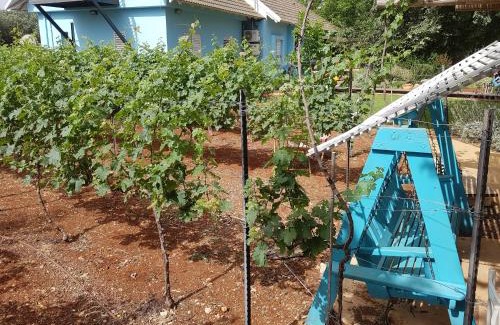 Ramot Naftali Cabina | נפגשים בחצר בין ההרים - -