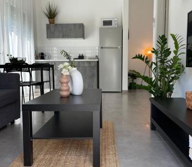 Snir Apartamento | סוויטת מול הבניאס