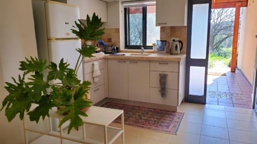 Rosh Pinna Apartamento | פינה ללב