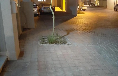 Be'er Ora Apartamento | קסם במדבר באר אורה