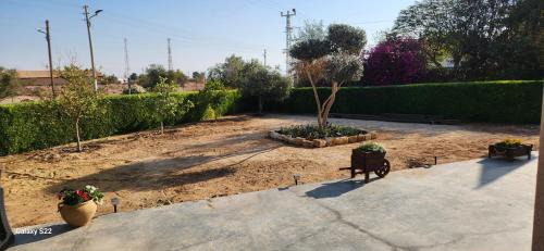 Sapir Apartamento | שקט בערבה