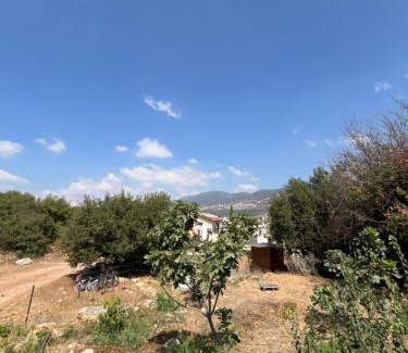 Kefar Hananya Cabina | תפארת עזך