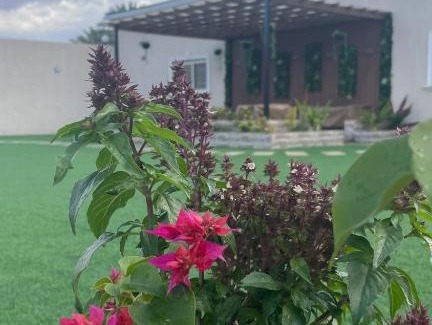 Umluj Chalet De Esquí | أستراحة وقاعة الريان