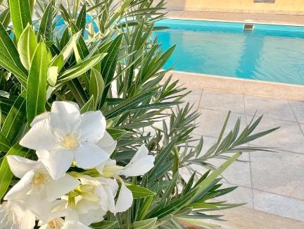 Banban Chalet De Esquí | استراحة مشكاة