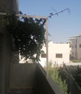Ajloun Governorate Apartamento | الاردن عجلون رأس منيف