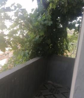 Ajloun Governorate Apartamento | الاردن عجلون رأس منيف