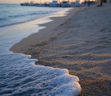 Shurtah al-Dakhlah Hotel | جولف مارينا