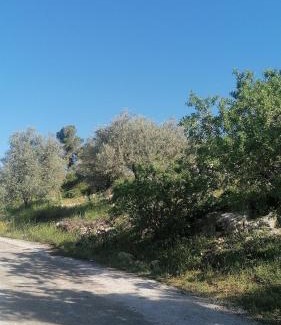 Ajloun Apartamento | روابي عجلون منزل
