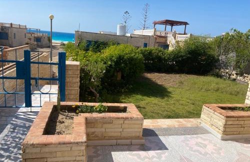 Borg el Arab Casa | شالية