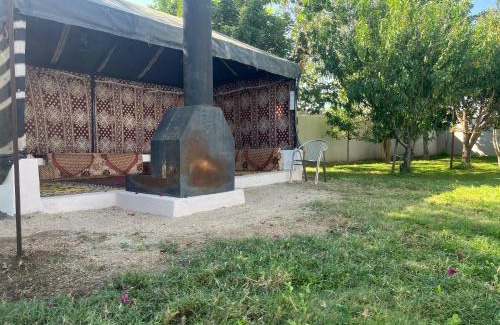 Al Aqiq Chalet De Esquí | شاليه وحديقة التوت بمسبح