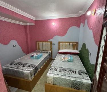 Mansoura Apartamento | غرفه خاصه لك جديده وفرش جديد ومميز بها سريرين وتلفزيون