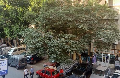 Downtown Cairo Hotel | فندق انوار الأقصى Anwar AlAqsa Hotel