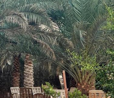 AlUla Casa | مبيت نسيم الجبل