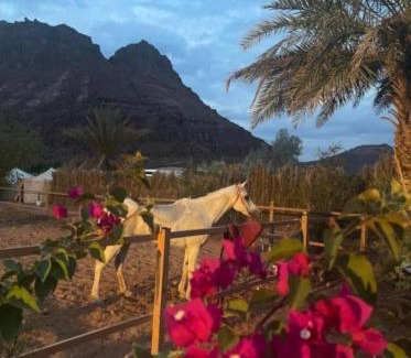 AlUla Casa | مبيت نسيم الجبل