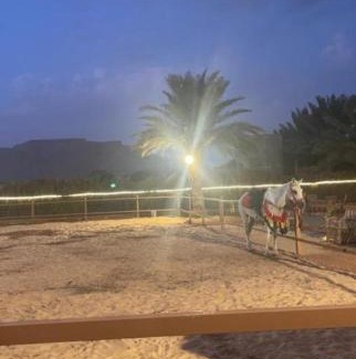 AlUla Casa | مبيت نسيم الجبل