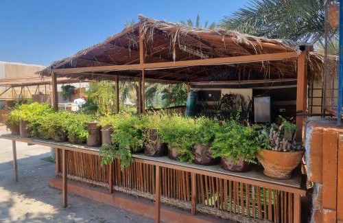 Ash Sharqiyah North Governorate Casa | مزرعة نحل العسل