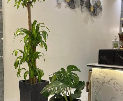 Al Duwadimi Apartamento | نوفل للشقق المخدومة