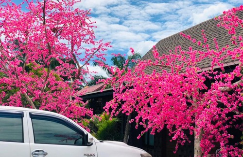 Sao Phao Casa | กอบสุข รีสอร์ท2 k12