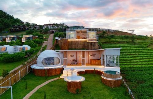 Mae Rim Casa | ดอกฟ้า ม่อนแจ่ม