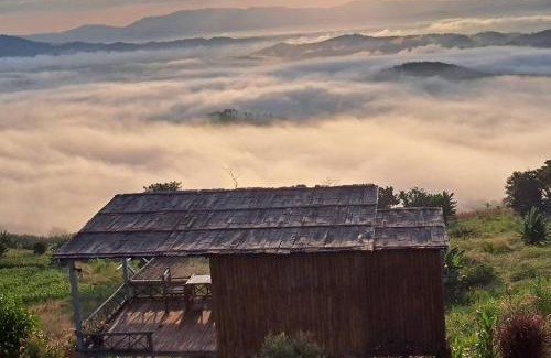 Chiang Saen Otro | ดอยสะโง้วิวโฮมสเตย์บ้านริมผา