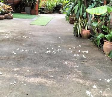 Mueang Nga Casa | ต้งโฮมหละปูน