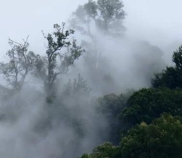 Khao Kho Casa | ต้นค้อ สวีทโฮม