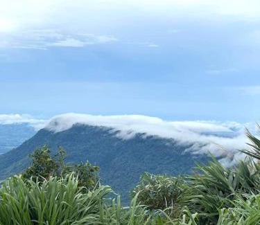 Khao Kho Casa | ต้นค้อ สวีทโฮม