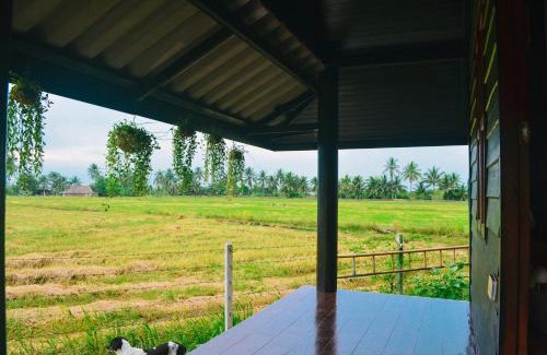 Suan Som Casa | ทรัพย์ในดิน ฟาร์มสเตย์