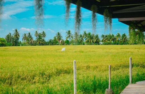 Suan Som Casa | ทรัพย์ในดิน ฟาร์มสเตย์
