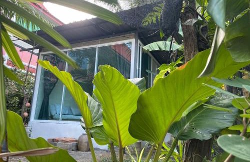Songkhla Casa | นอกท่องคอฟฟี่ Nok Thong Coffee