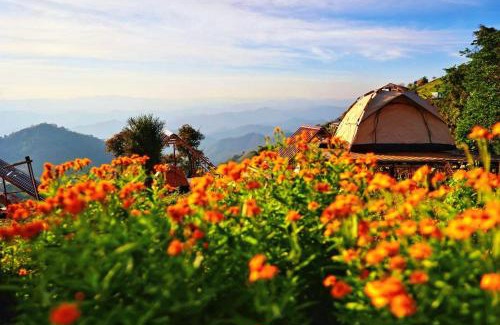 Samoeng Tai Casa | บ้านกระจก - Raiwassana Baandoy