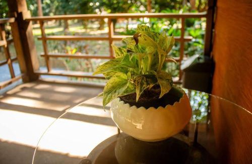 Nok Na Casa | บ้านบุญ โฮมสเตย์