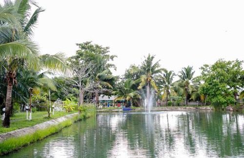 San Sai Casa | บ้านพักริมทุ่งนา