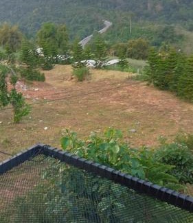 Khao Kho Chalet De Esquí | บ้านพัก เย็นเย็นแคมป์ปิ้ง