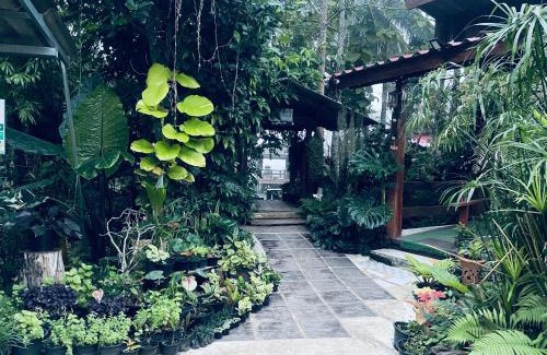 Samoeng Complejo | บ้านสวนวิวทุ่ง