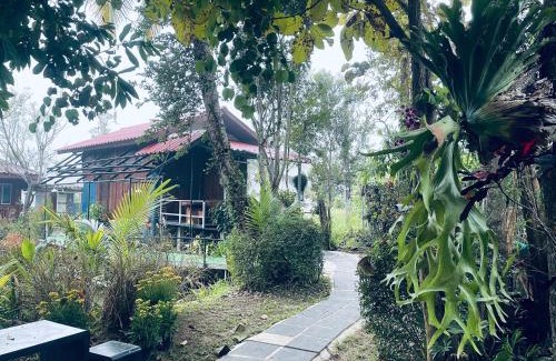 Samoeng Complejo | บ้านสวนวิวทุ่ง