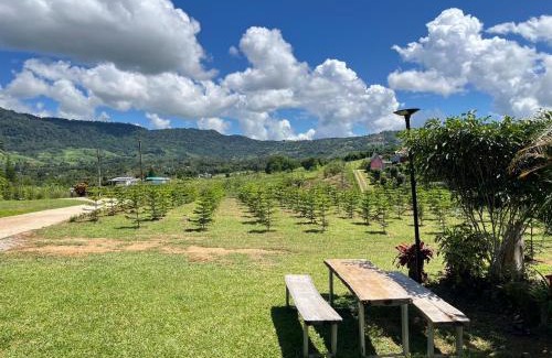 Khao Kho Casa | บ้านสวนหมอกเขาค้อ a2
